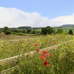 Sycamore Cloughton