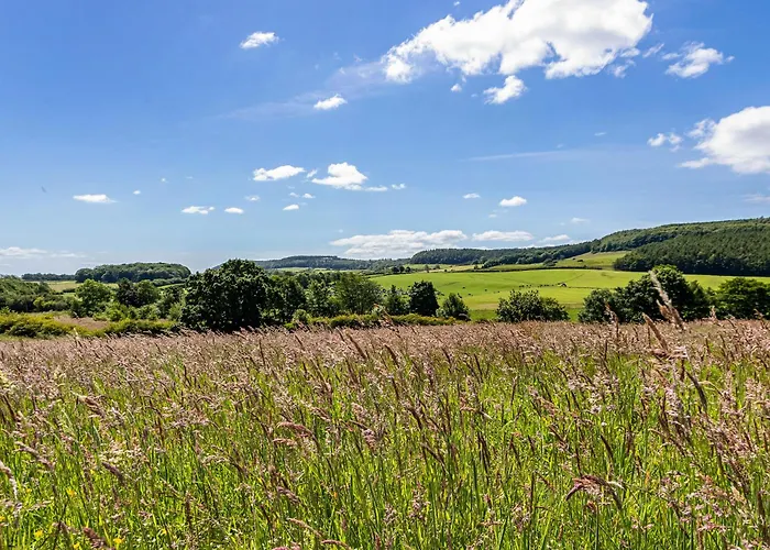 別荘 Sycamore Cloughton